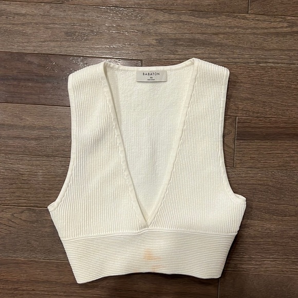 Aritzia Tops - Aritzia - Babaton Top